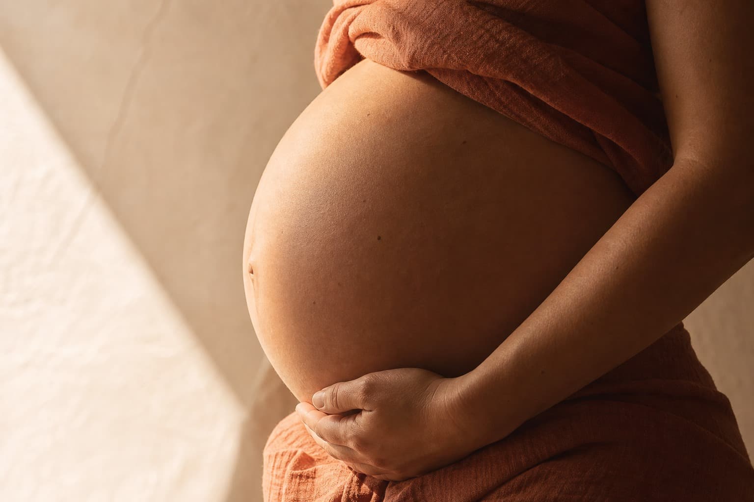 La placenta: el órgano que construyes tú y que lo hace todo posible.